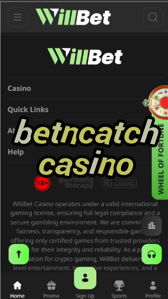 BetnCatch Casino - French Casino Platform-casinoorder.vip
